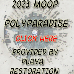 MOOP 2023 - PolyParadise